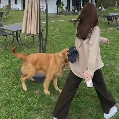 六个视线